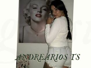 ANDREARIOS_TS