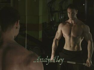AndyAlsy