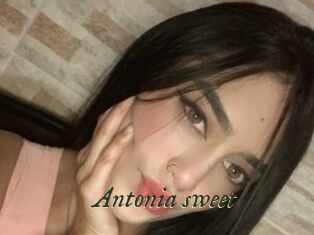 Antonia_sweet