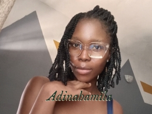 Adinahamila