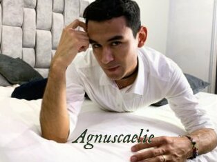 Agnuscaelie