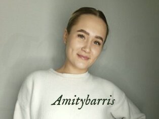 Amitybarris