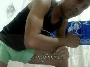 Andyhotboy