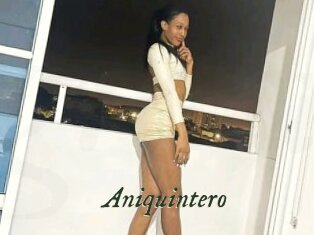 Aniquintero