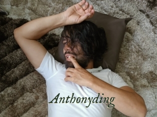 anthonyding Gratis Strip