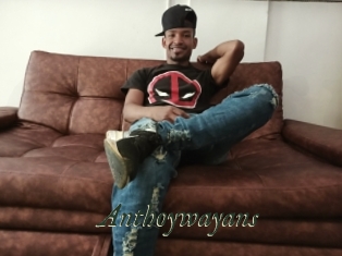 Anthoywayans