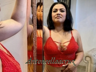 Antoneellaacruz