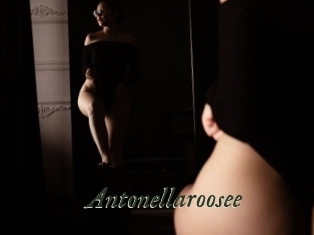 Antonellaroosee