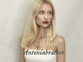 Antoniabracher