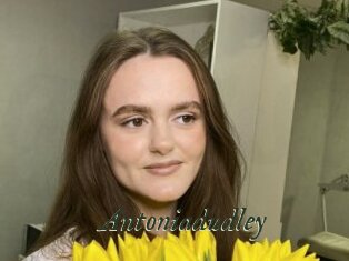 Antoniadudley
