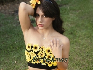 Ari_goldman