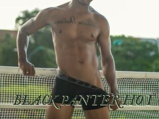 BLACK_PANTER_HOT