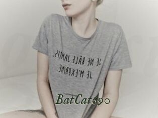 BatCat690