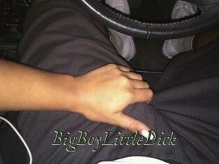 BigBoyLittleDick