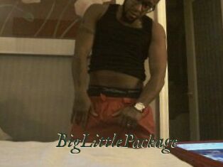BigLittlePackage