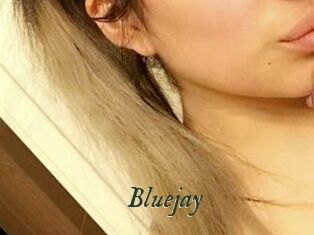 Blue_jay