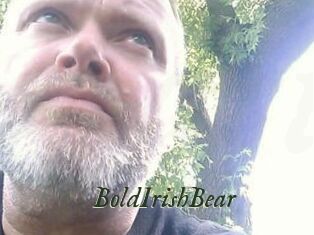 BoldIrishBear