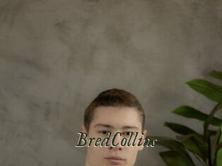 BredCollins