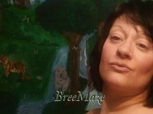 Bree_Maze