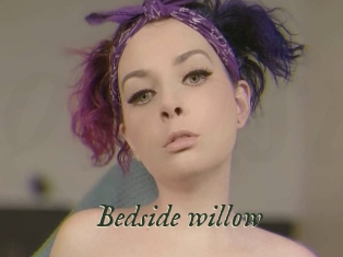 Bedside_willow