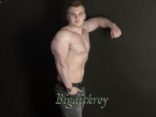 Bigdickroy