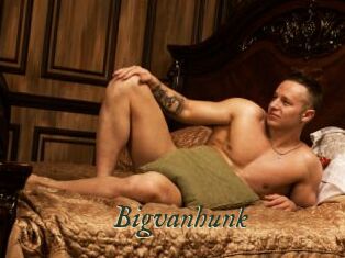 Bigvanhunk