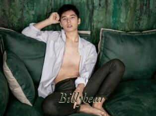 Billybear