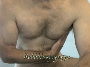Bobbbluejay2530