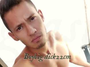 Boybig_dick22cm