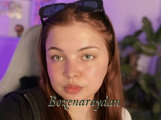 Bozenaraydan