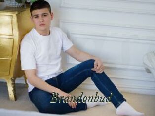 Brandonbud