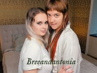 Breeandantonia