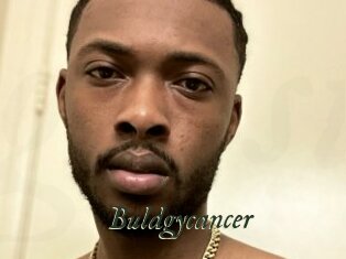 Buldgycancer