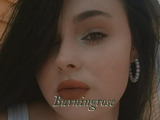Burningrose