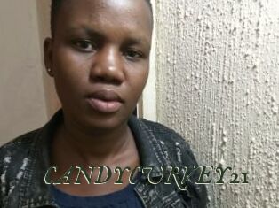 CANDYCURVEY21