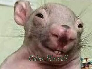 Colon_Plowell