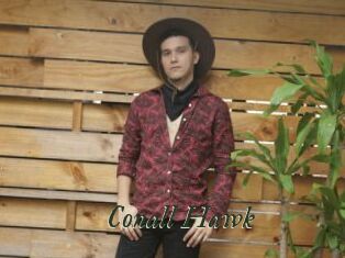 Conall_Hawk