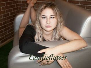 Candieflower