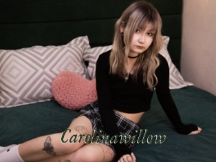 Carolinawillow