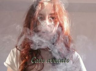 Cato_avocato