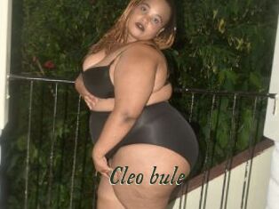 Cleo_bule