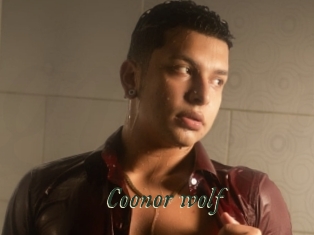 Coonor_wolf
