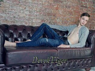 DerekTiger