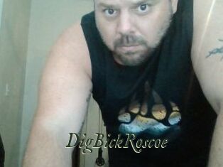 DigBickRoscoe