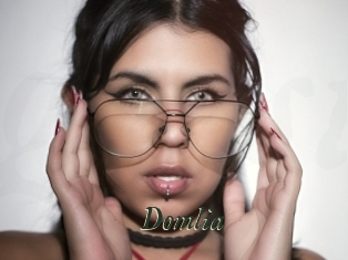 Domlia