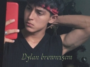 Dylan_brown15cm