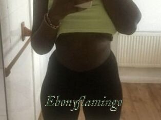 Ebony_flamingo