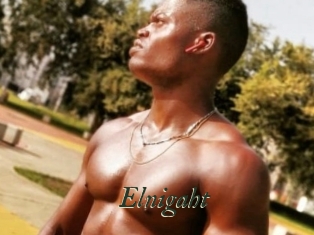 Elnigaht