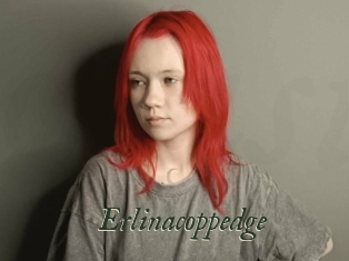 Erlinacoppedge