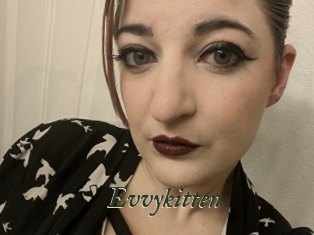 Evvykitten